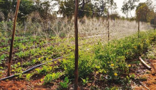 Sainya Krishi – Ex-servicemen as Organic Farming Entrepreneurs