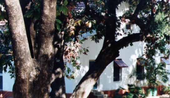 An Army Mother’s Unrequited Hope