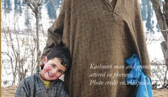 CULTURAL INTELLIGENCE IN COUNTER INSURGENCY OPERATIONS