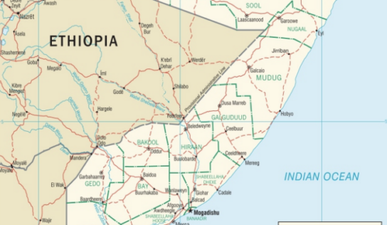 THE INDIAN BRIGADE IN SOMALIA