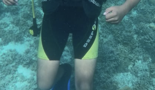 SCUBA DIVING AT LAKSHADWEEP