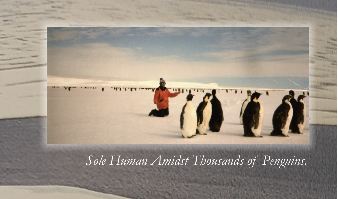EXPEDITION TO THE ANTARCTIC